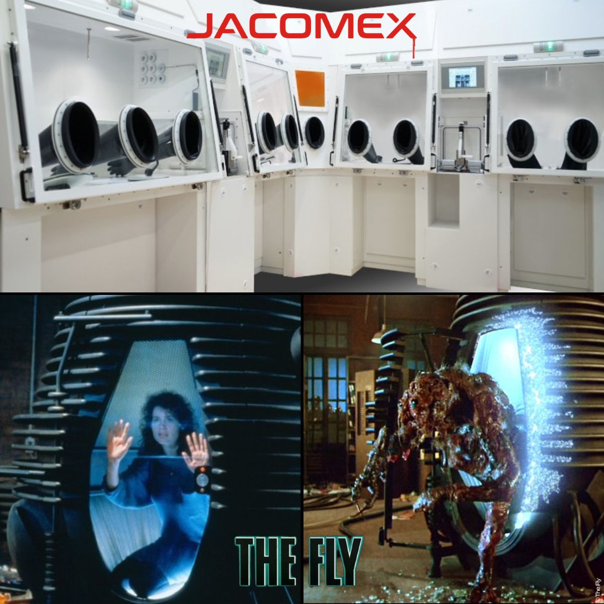 Jacomex wishes you a scary Halloween! Jacomex wishes you a scary Halloween!