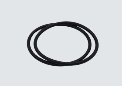 O-ring per camera a vuoto Ø100