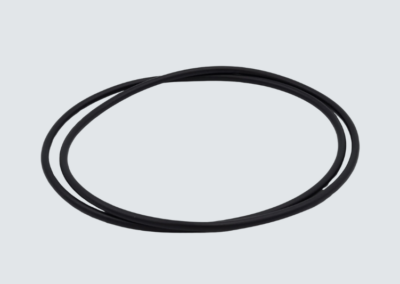 Guarnizione O-ring per porta a leva Ø250