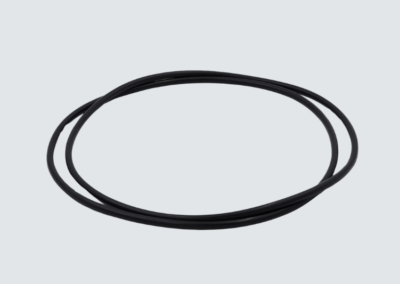 O-ring per camera a vuoto Ø250