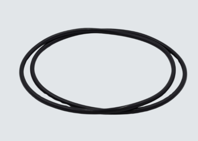 Guarnizione O-ring per porta a leva Ø220