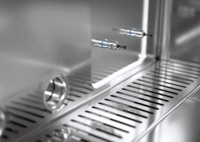 Elettrolucidatura per Glove Box