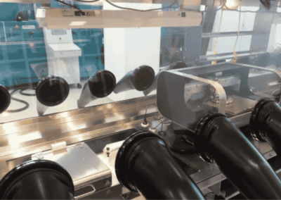 Processo di stampa inkjet per glove box