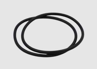 O-ring per porta a leva Ø156