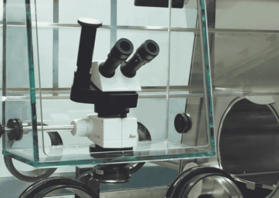 Microscopio per glove box